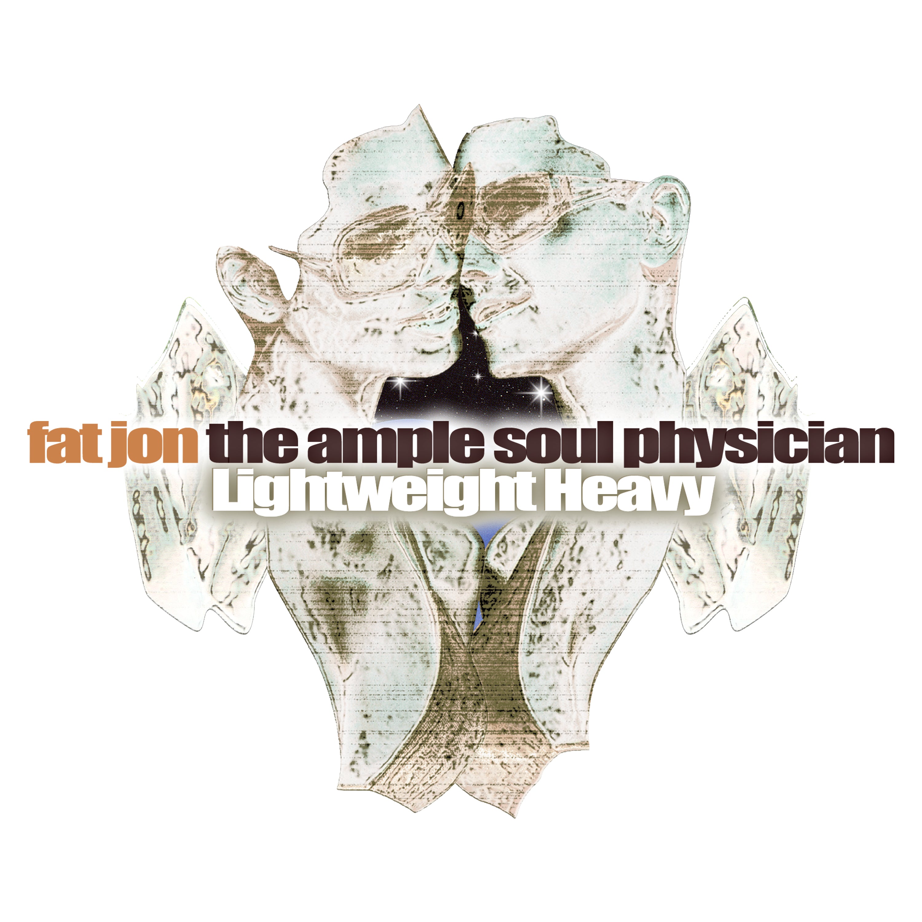 洋楽 Fat Jon / Repaint Tomorrow 2LP Fat Jon The Ample Soul Physician – Repaint Tomorrow – CD